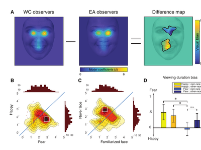 Infant facial-expression fixation maps