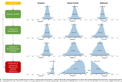 Developmental neurotoxicity pathway predictions
